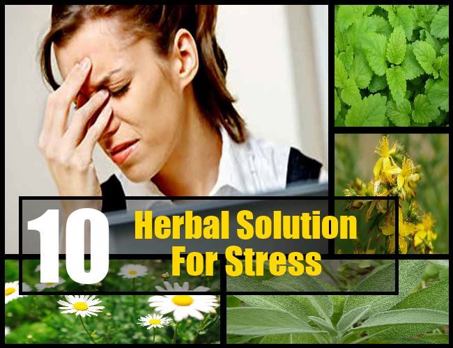 10 solutions à base de plantes apaisantes pour le stress