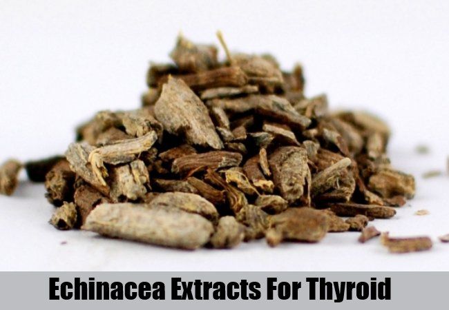 Echinacea Extraits