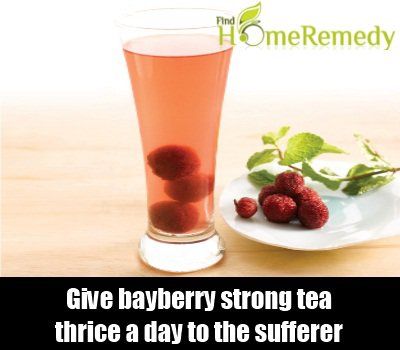 Bayberry thé