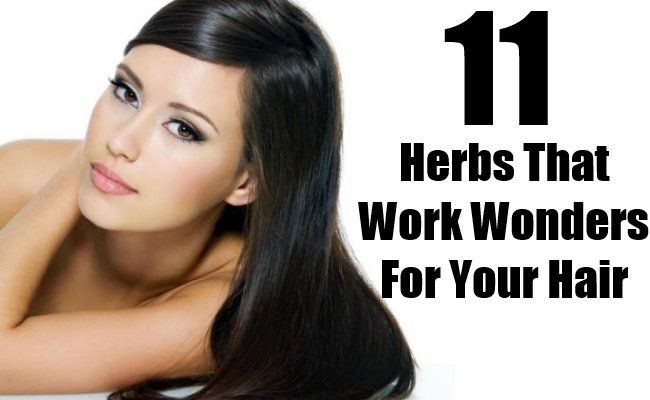 11 Les herbes qui font des merveilles pour vos cheveux