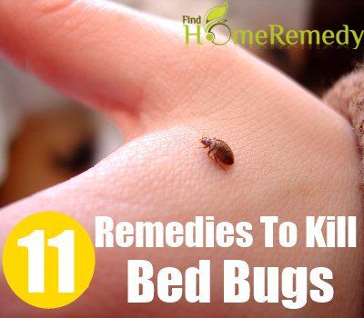 11 remèdes à la maison pour tuer les punaises de lit