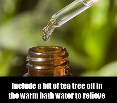 L'huile Tea Tree
