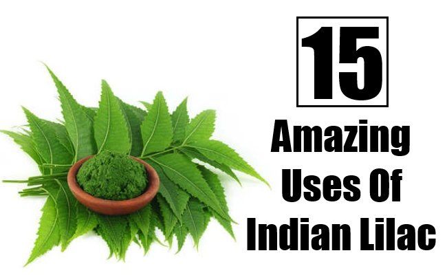 15 utilisations étonnants du lilas indien