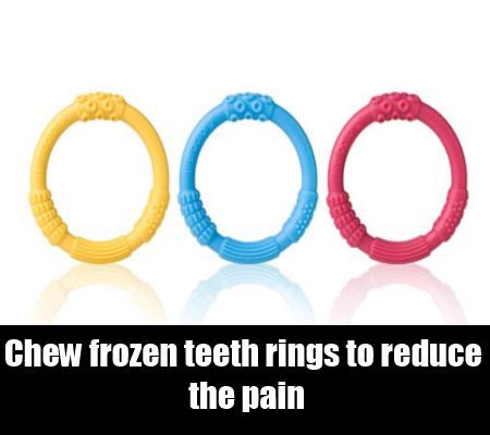 Congelés anneaux de dentition