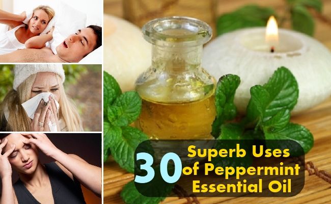 30 utilisations Superbes d'huile essentielle de menthe poivrée
