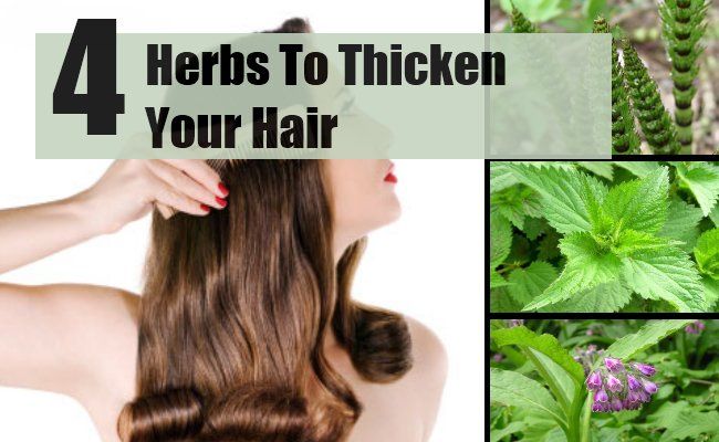4 meilleures herbes pour épaissir vos cheveux