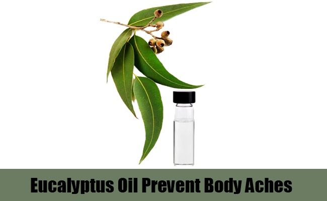 L'huile d'eucalyptus