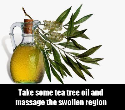 huile d'arbre à thé