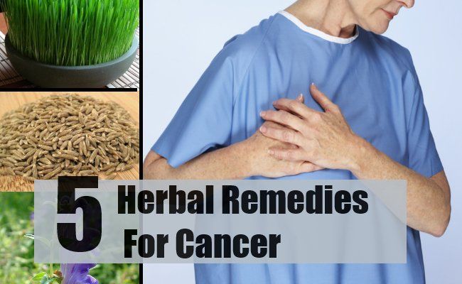 5 remèdes à base de plantes pour le cancer