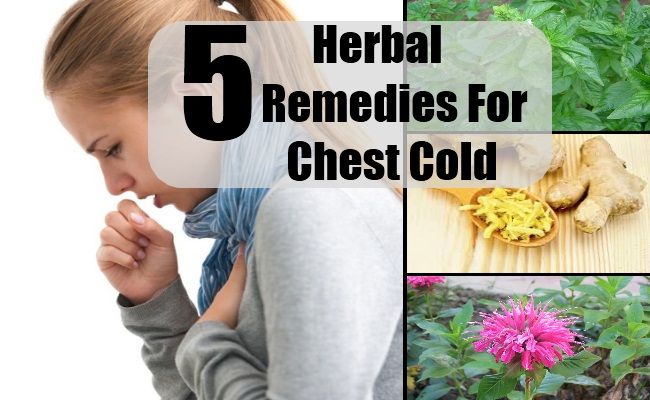 5 remèdes à base de plantes pour la poitrine froide