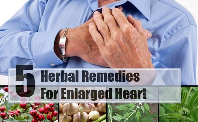 5 remèdes à base de plantes pour hypertrophie du coeur