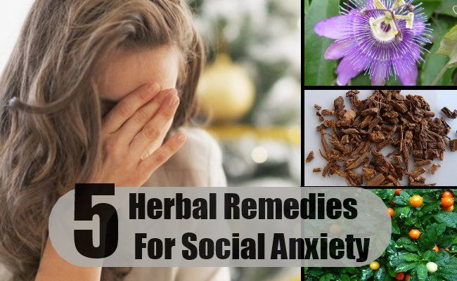 5 remèdes à base de plantes pour l'anxiété sociale