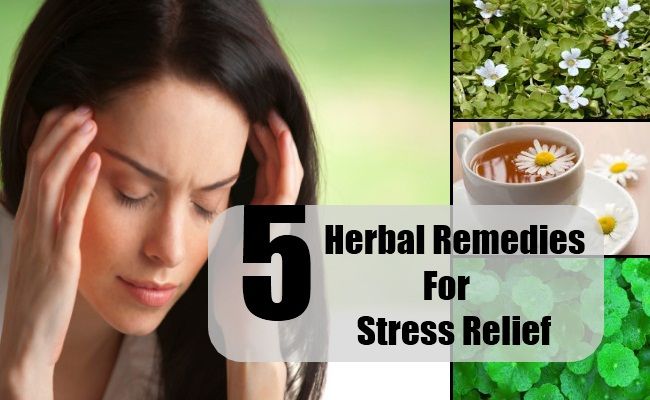 5 remèdes à base de plantes pour le soulagement du stress