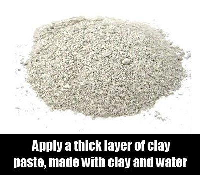 Clay Coller
