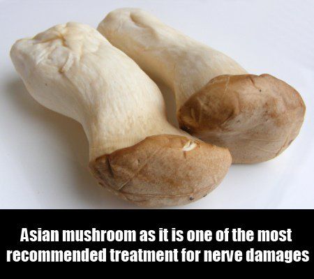 Mushroom asiatique