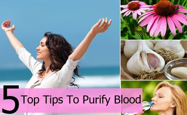 Top 5 conseils pour purifier le sang