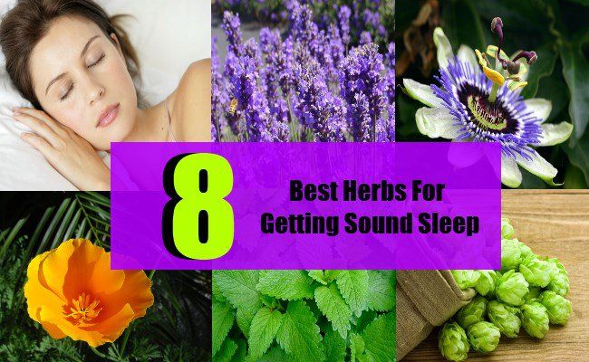 8 meilleures plantes pour obtenir un son sommeil