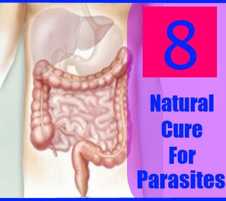 8 remède naturel pour les parasites