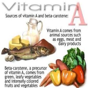 Haut les avantages de vitamine A pour les femmes enceintes