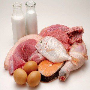 Évitez les protéines animales