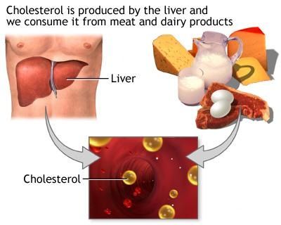 Niveau inférieur de cholestérol