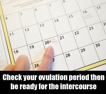 période d'ovulation
