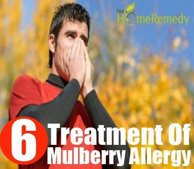 Mulberry allergie