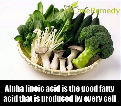 L'acide alpha-lipoïque