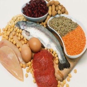 Aliment riche en protéines