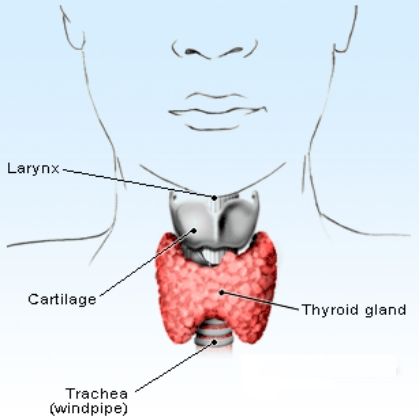 Thyroïdite