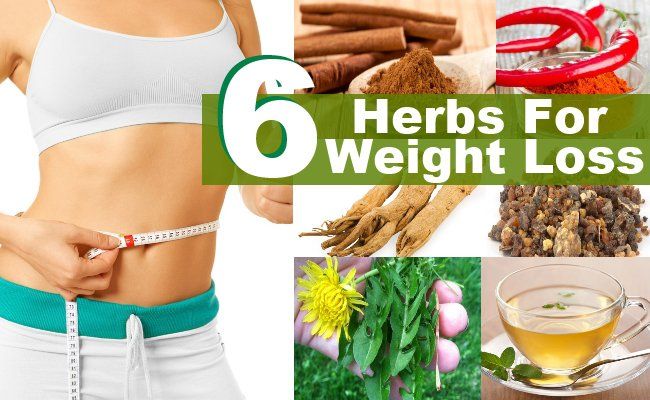 Top 6 des herbes pour ajouter dans votre régime alimentaire pour perdre du poids