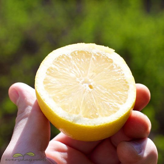 Débarrasser des points noirs avec le jus de citron