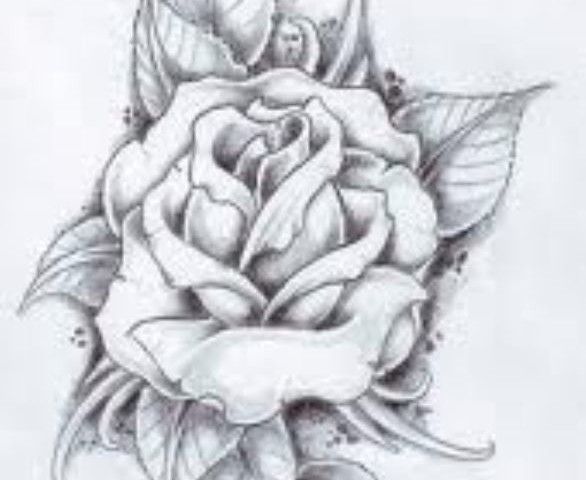 Rose Flower Design Tattoo