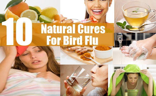 10 meilleurs remèdes naturels pour la grippe aviaire