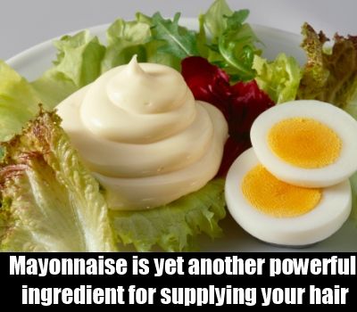 Les œufs et la mayonnaise
