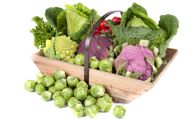 Légumes du genre Brassica