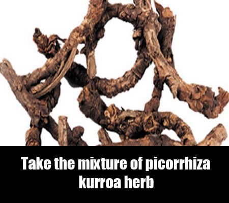 Picorrhiza kurroa