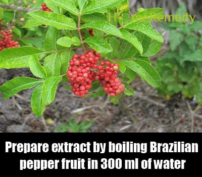 Brésilienne Pepper