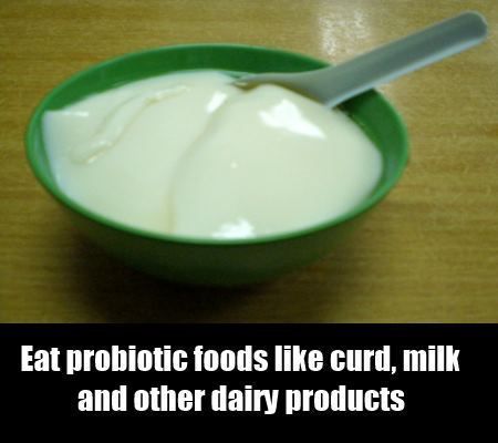 aliments probiotiques