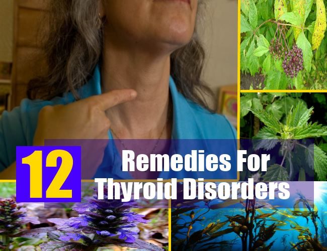 12 remèdes à base de plantes pour les troubles de la thyroïde