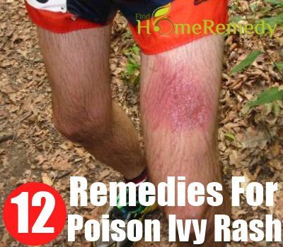 12 Accueil recours pour éruption de la dermatite