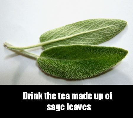 thé de sauge