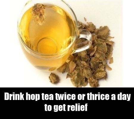 thé hop
