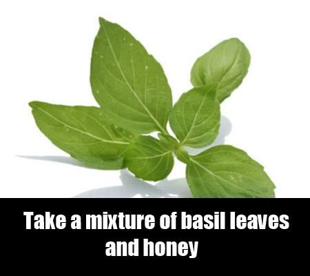 feuilles de basilic et miel