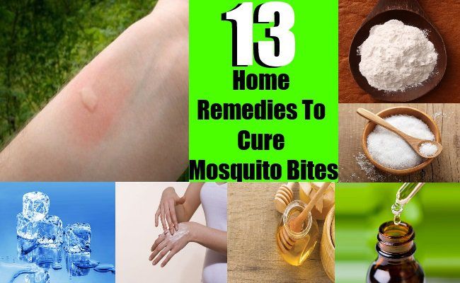 Top 13 remèdes maison pour guérir les piqûres de moustiques