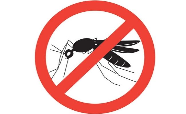 Pour éloigner les moustiques et la guérison