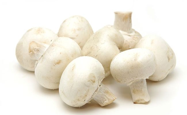Shiitake ou bouton blanc de champignon
