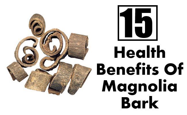 15 prestations de santé de l'écorce de magnolia