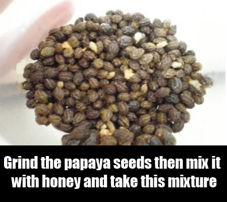 Papaya Graines