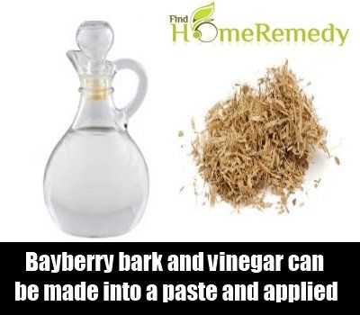 Bayberry Bark et le vinaigre
